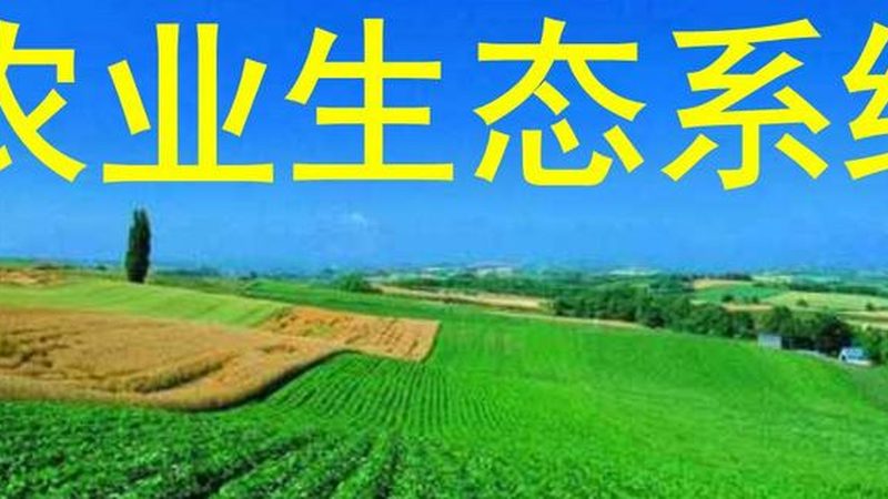 农村合作社：抱团发展的优势与潜在隐患