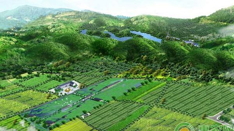 生态农业种植技术模式：迈向可持续发展的绿色之路