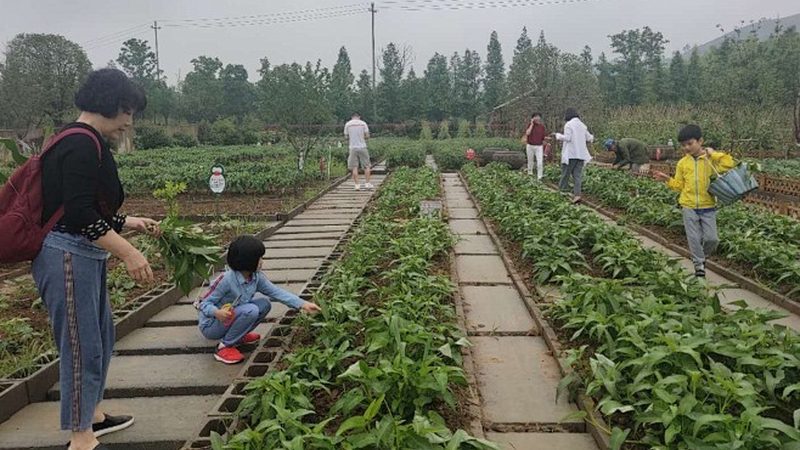 山东农产品批发基地，最新报价背后的市场逻辑**
