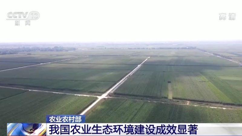 农业项目风险评估：揭秘十大品牌背后的风险控制之道**