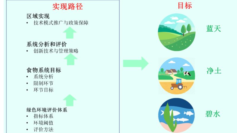 合作社模式：养殖业的共赢之道**