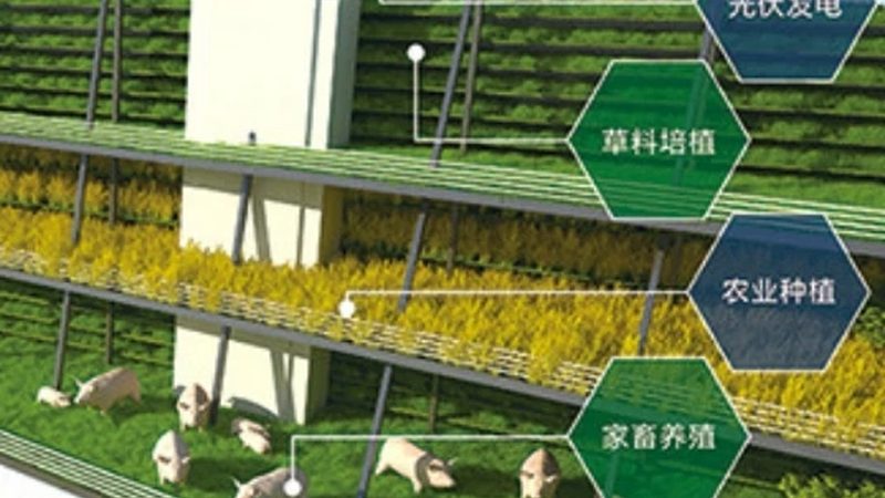 现代农业示范区建设：标准与施工要求解析**
