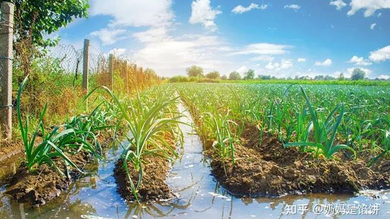家庭农场果园管理机型号推荐