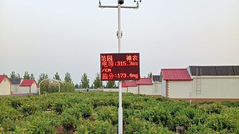 蔬菜批发报价单怎么做：关键要素与注意事项