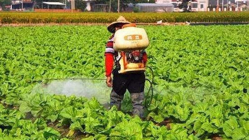 新手入门：小型农业项目如何选择？**