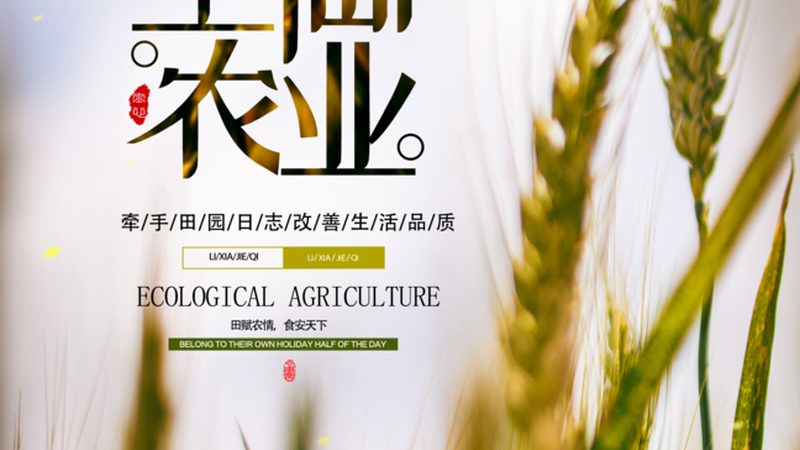 有机蔬菜与普通蔬菜：种植标准差异大揭秘**