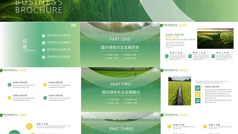 全国蔬菜批发价格波动背后的秘密**